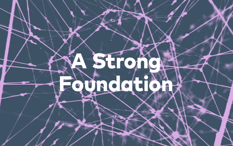 A Strong Foundation Requires a Comprehensive Look at the Network of Your Business Infrastructure